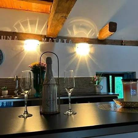 Apartmán Peskuv Mlyn - Borovany (Ceske Budejovice)